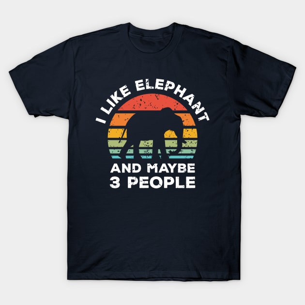 I Like Elephant and Maybe 3 People, Retro Vintage Sunset with Style Old Grainy Grunge Texture T-Shirt by Ardhsells